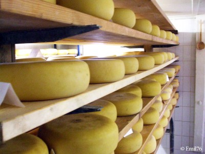 Ouvrier agroalimentaire H/F